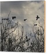 A Cackle Of Grackles Wood Print