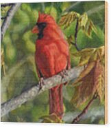 A Cardinal Named Carl Wood Print