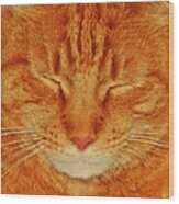 A Cat Portrait Wood Print