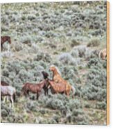 A Day In The Lives Of South Steens Wild Horses, No. 1 Wood Print