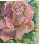 A Morning Rose Wood Print