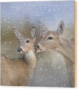 A Mother's Love Deer Art Wood Print