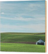 A Pastoral Scene From Palouse. Wood Print