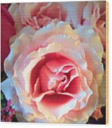 A Romantic Pink Rose Photograph by Joyce Dickens - Fine Art America