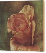 A Rose From Long Ago Wood Print
