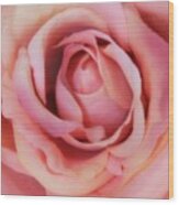A Silk Rose By Any Other Name Wood Print