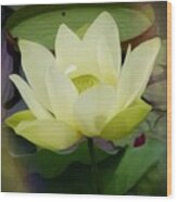 A Single Lotus Wood Print