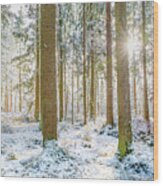 A Sunny Day In The Winter Forest Wood Print