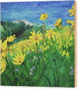 A Time Of Gold, Golden Aster Wood Print