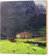 A Typical Basque Country Farmhouse With Sheep Wood Print