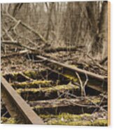 Abandoned Railroad 1 Wood Print