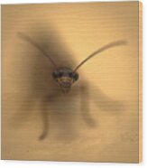 Abstract Bug Wood Print