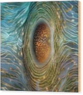 Abstract Clam Wood Print