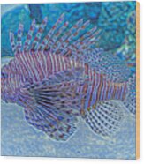 Abstract Lionfish Wood Print