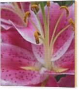 Abstract Pink Lily1 Wood Print
