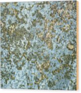Coral Reef Abstract Rock Wood Print