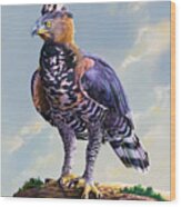 African Crowned Eagle Wood Print