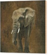 African Elephant With Textures Wood Print