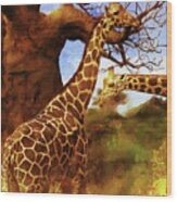 African Giraffe 003 Wood Print