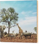 African Safari Animals Meeting Together Around Tree Wood Print