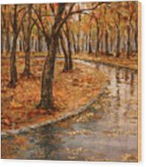 After Rain,walk In The Central Park Wood Print