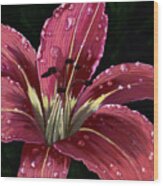 After The Rain - Lily Wood Print