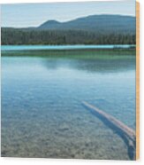 Air Water Log Lava Lake Oregon Wood Print