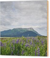 Alaskan Wildflowers Wood Print