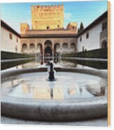 Alhambra Palace Fountain Wood Print