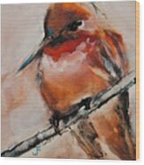 Allen's Hummingbird Wood Print