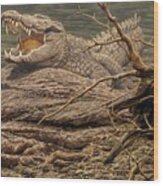 Alligator Wood Print