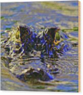 Alligator Green Blue Wood Print