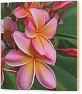 Aloha Lei Pua Melia Keanae Wood Print