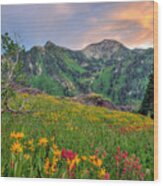 Alta Wildflowers And Sunset Wood Print