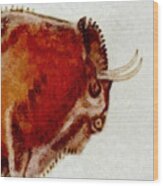 Altamira Prehistoric Bison Detail Wood Print