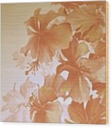 Amapola Flowers Wood Print