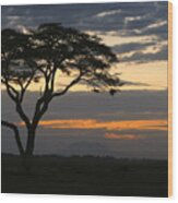 Amboseli Sunset Wood Print