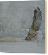 American Bald Eagle Wood Print