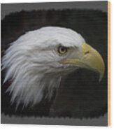 American Bald Eagle Wood Print
