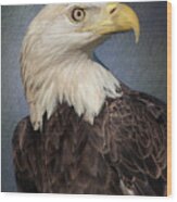 American Bald Eagle Portrait Wood Print