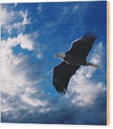 American Eagle Wood Print