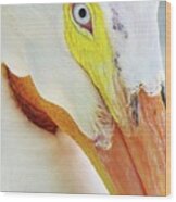 American Pelican Wood Print