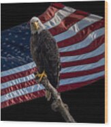 America's Eagle Wood Print
