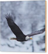 An Eagle Through Th Snowy Air Wood Print