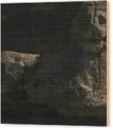 Ancient Lion - Nocisia Wood Print