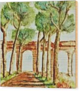 Ancient Roman Aqueduct Wood Print