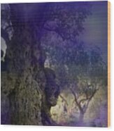 Ancient Witness Tree Garden Of Gethsemane Vision Wood Print