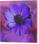 Anemone In Purple Wood Print