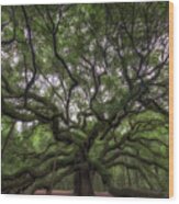 Angel Oak Tree, Charleston, Sc Wood Print