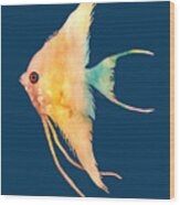 Angelfish Ii - Solid Background Wood Print